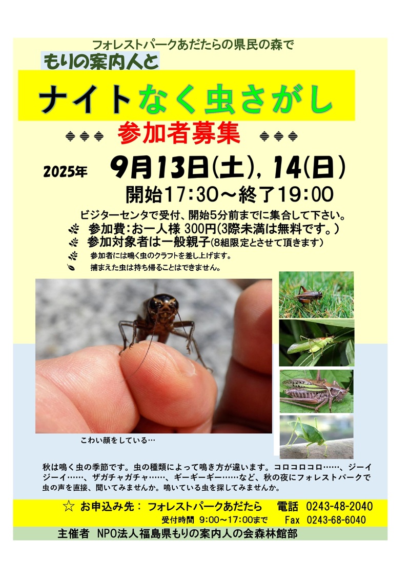 ナイトなく虫さがし