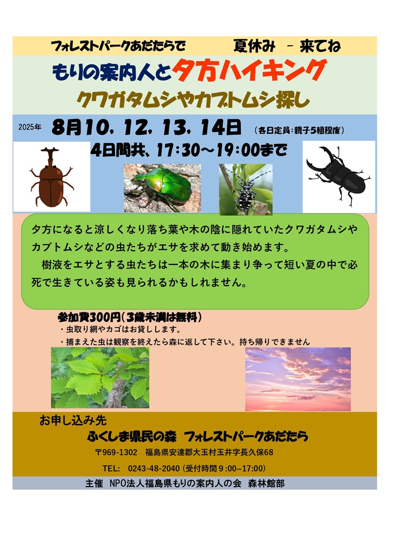 夕方ハイキング