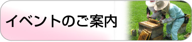 イベントのご案内